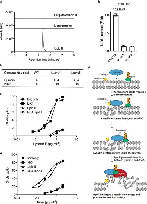 The Role Of Menaquinone And Lipid II In Membrane Damaging Activity A Download Scientific