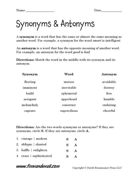 Synonyms Antonyms Worksheet 02 Tims Printables