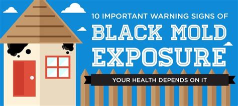 Black Mold Exposure Symptoms Learn About Health Risks