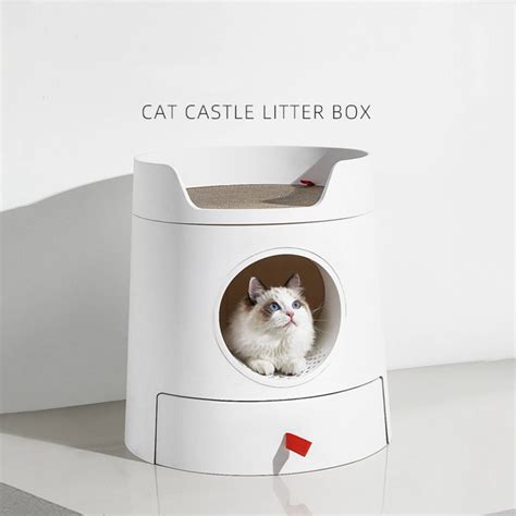 Best Cat Litter Boxes Of 2023 Ph