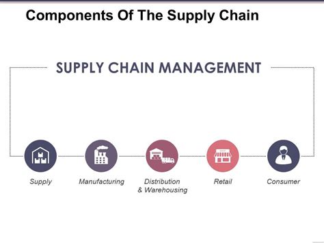 Components Of The Supply Chain Sample Presentation Ppt Powerpoint