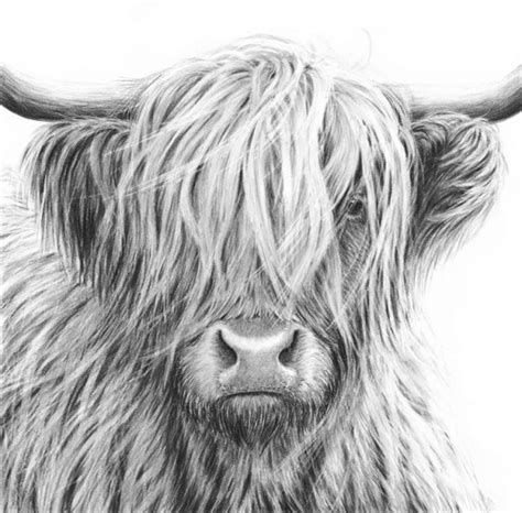 Highland Cow Black And White Printed Canvas Wall Art Stretched Etsy Uk