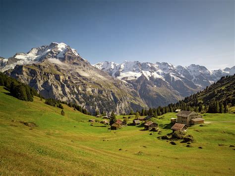 Meadow In The Swiss Alps Photograph By Dan Leffel Fine Art America