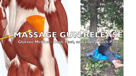 Massage Gun Release Gluteus Med Youtube