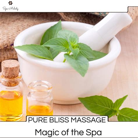Pure Bliss Massage Magic Of The Spa Compilation By Various Artists