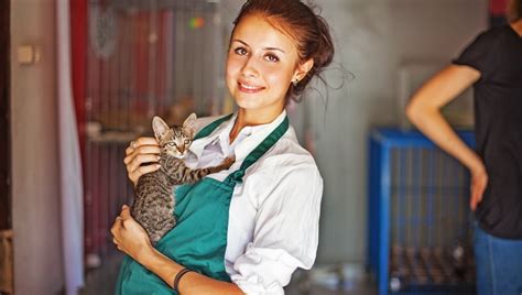How To Volunteer At An Animal Shelter Cattime