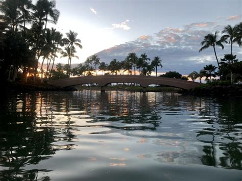 Review Hilton Waikoloa Village Resort Big Island Travel Codex