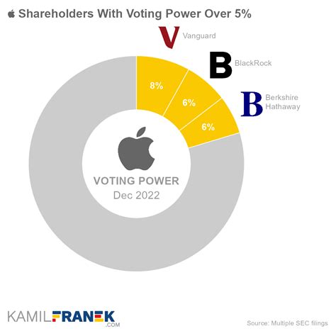 Who Owns Apple The Largest Shareholders Overview Kamil Franek