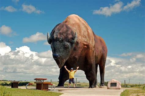 6 Facts About The National Buffalo Museum In North Dakota