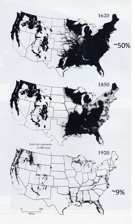 Amount Of Forested Land In The United States For 1620 1850 And 1920