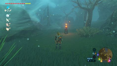 Zelda Breath Of The Wild How To Solve The Lost Woods Puzzles Gamespot