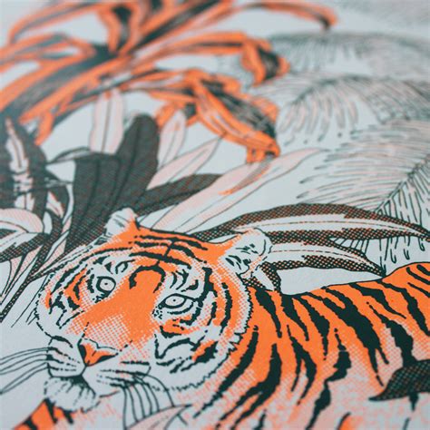 Sumatran Tiger By Jacqueline Colley Print Club London