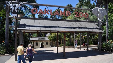 Oakland Zoo At Risk Of Closure