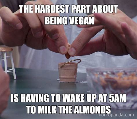 Funny Vegan Memes Will Give You A New Perspective About Vegetarians