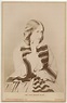 NPG x9050; George Eliot - Portrait - National Portrait Gallery
