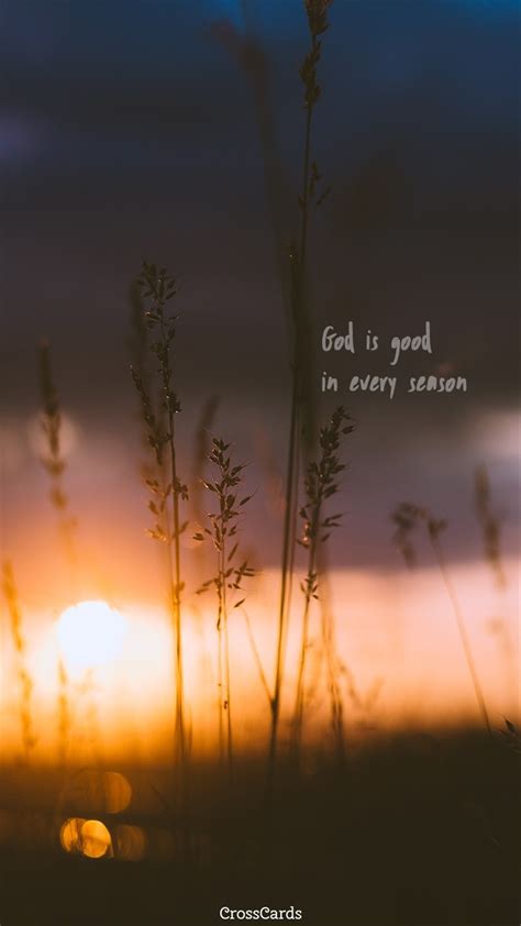 In Every Season Mobile Phone Wallpaper Data Src Best Good Wallpaper For Phone 1100x1956