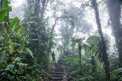 The Worlds 12 Most Beautiful Rainforests Mapquest Travel