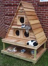 Pictures of Diy Heated Cat House