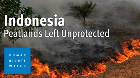 Oil Palm Expansion Risks Environment Harms Communities Youtube