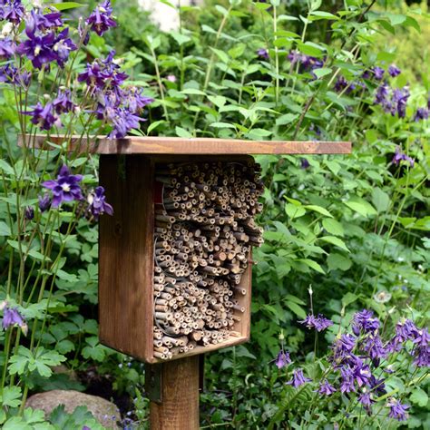 How To Attract Bees Into Your Garden The Range
