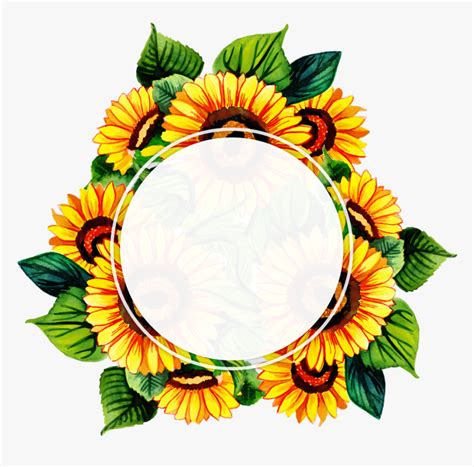 Sunflower Frame Transparent Background