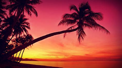 Pin By Anthony Warner On Tropical Beaches Beach Sunset Wallpaper
