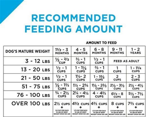 Goldendoodle Puppy Feeding Chart