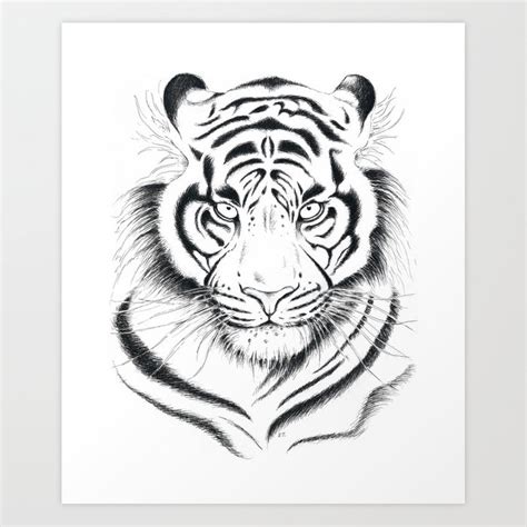 Bengal Tiger Drawing At PaintingValley Com Explore Collection Of
