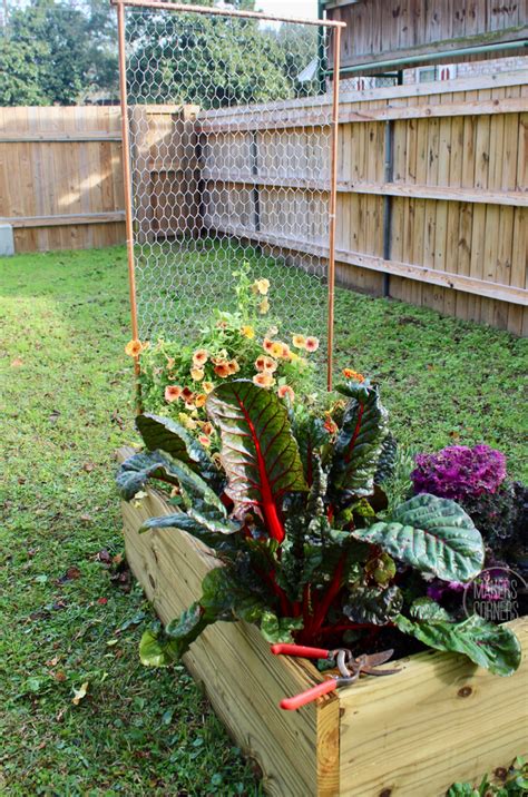 Diy How To Make A Garden Trellis Using Chicken Wire