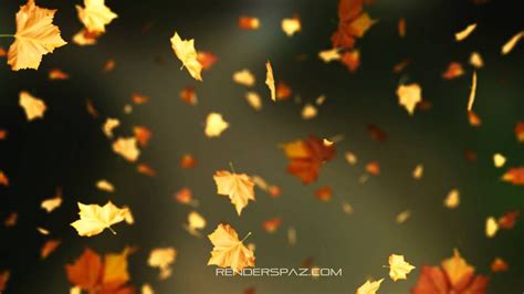 Fall Leaves Animated Wallpaper Youtube