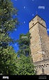 Burg Guttenberg ist ein Schloss in Deutschland Stockfotografie - Alamy