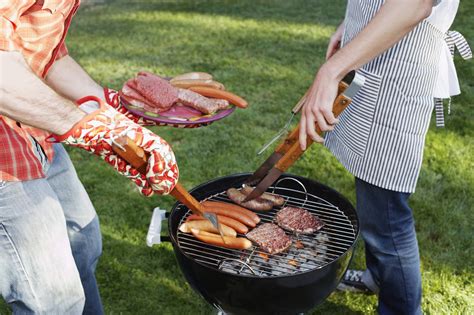How To Stop Flies Ruining Your Barbecue Rentokil Pest Control