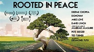 Rooted In Peace Is Rooted In Hope: A Time for Action | HuffPost
