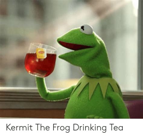 Kermit The Frog Meme Tea School