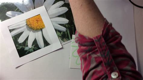 A collection of 294 paintings (hd) description: Georgia O'Keeffe Inspired Flowers - YouTube