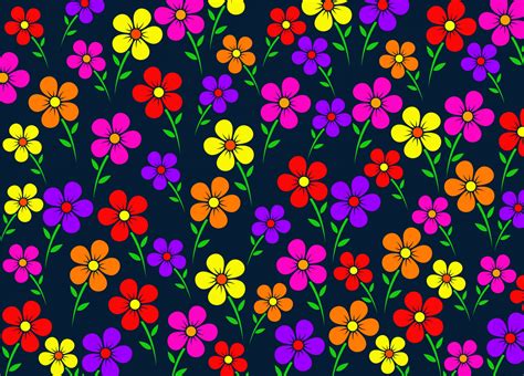 Colorful Flower Floral Pattern Free Stock Photo Public Domain Pictures