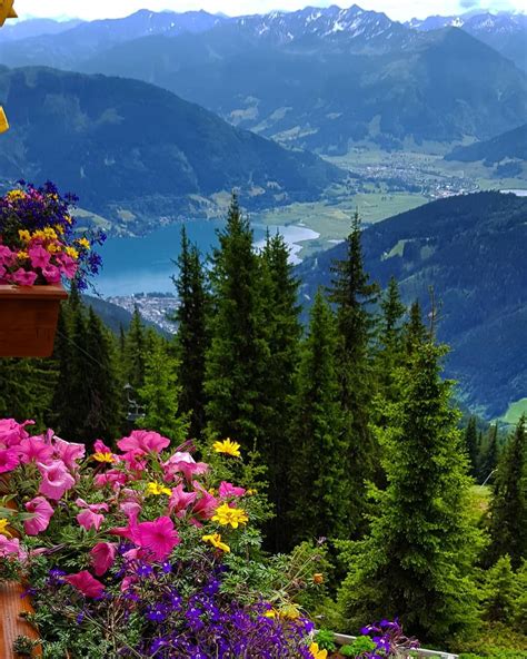 Austria Most Beautiful Gardens Beautiful World Beautiful Images