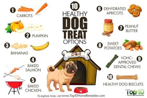 10 Healthy Dog Treat Options Top 10 Home Remedies