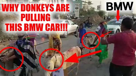 Bmw Owner Use Donkey To Pull His Car To Show Displeasure Over Bad