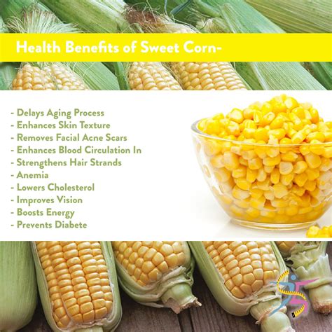 Sweet Corn Health Benefits ReumVegetable