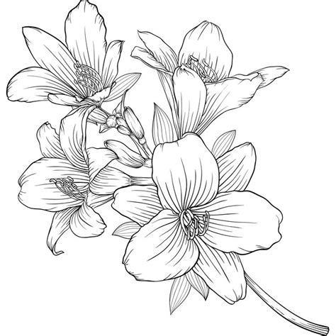 Lily Bouquet Td Florals 194
