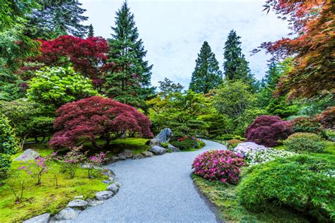 Spring — Seattle Japanese Garden