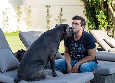 André Marques Declara Amor A Suas Cinco Cachorras E Descreve A Rotina