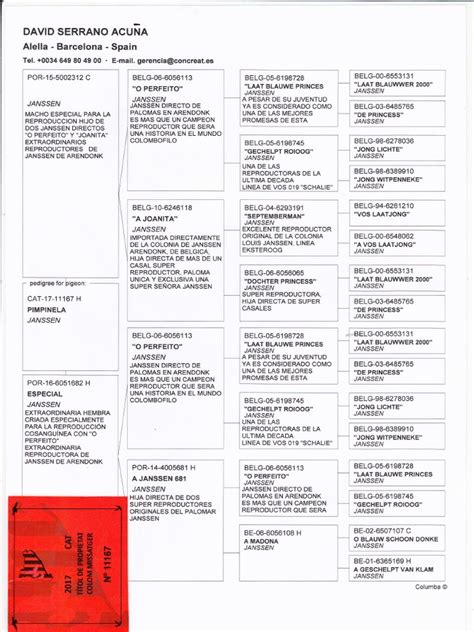 Cat 17 11167 Pdf