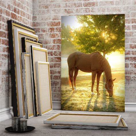 Large Horse Canvas Wall Art