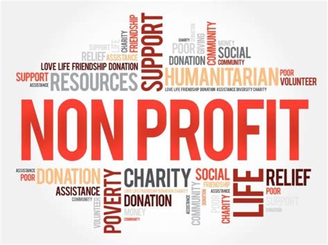 Nonprofit Corporation Page