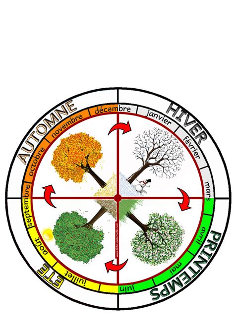 Affichage La Roue Des Saisons Constituer Une Roue Avec Les 4 Saisons