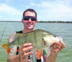 We are a caravan park on the shores of the waranga basin. Fishing Monthly Magazines : Light line sport for redfin on ...