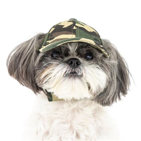 Check Out Puplid Camo Design Shop Baseball Caps For Dogs