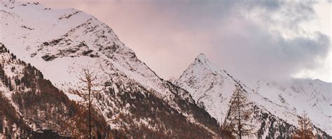 Download Wallpaper 2560x1080 Mountain Peak Snowy Clouds Trees